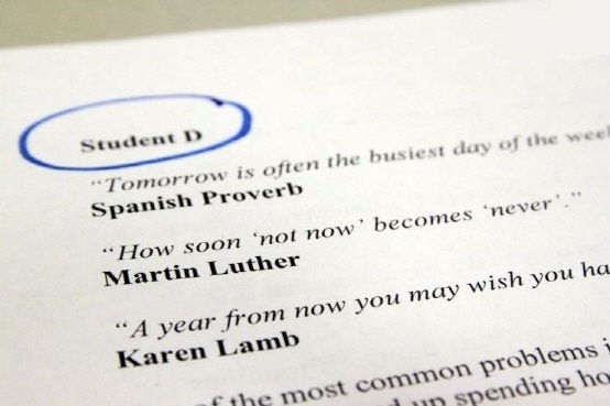 customer service co-op program