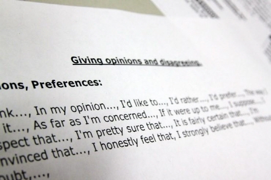 customer service co-op program