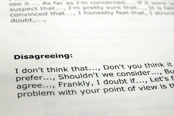 customer service co-op program