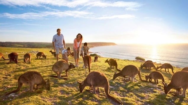 Image result for kangaroo island australia
