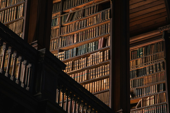 A well-lit library showcasing tall shelves filled with vintage books in rich colors, highlighting the beauty of classic literature.