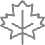 icon_school