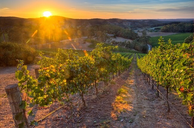 Image result for adelaide hills