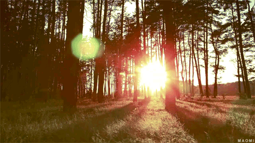 morning sun sunny day gif | WiffleGif