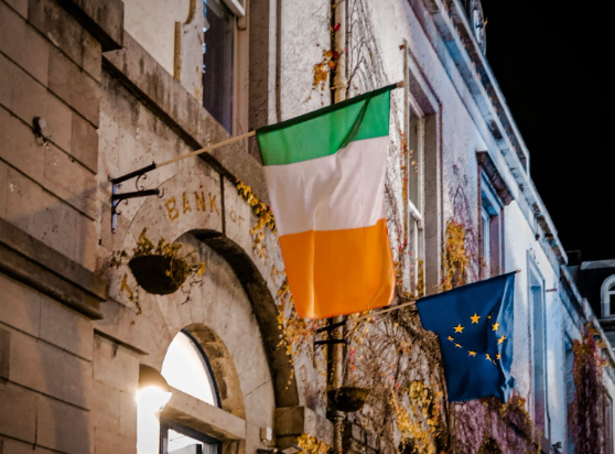 Irish and European Union flags displayed on a historic building at night, surrounded by ivy and soft lighting.