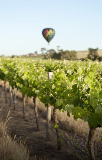 Barossa Valley