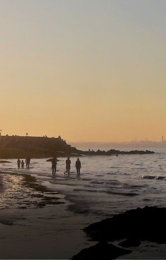 FULL-DAY EXCURSION: Dún Laoghaire Harbour and Seaside Experience