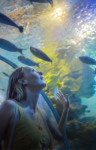 The Aquarium Of Western Australia